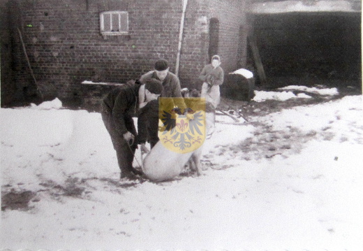 026 Jeukenhof - huisslacht door Frans Kroese - hoeve maessen