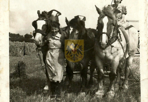 Elkenraderhof 030 - familie Nobis-Schins