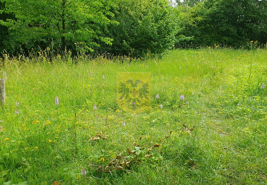 Dolsberg
