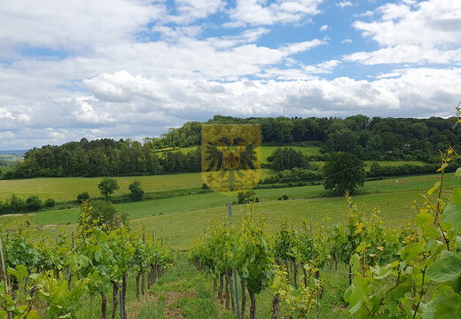 Natuurgebieden Wijlre
