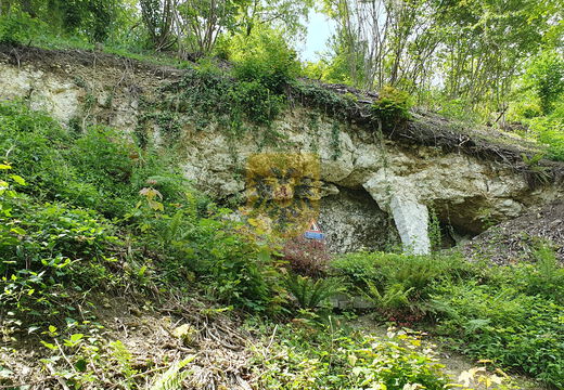 Gronselenput