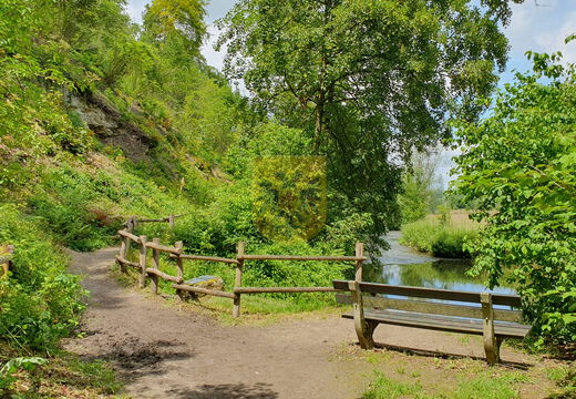 Natuur & Landschap