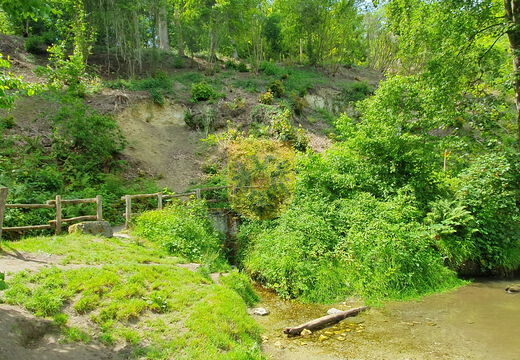Gronselenput