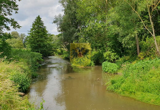 Natuurbescherming in Wijlre